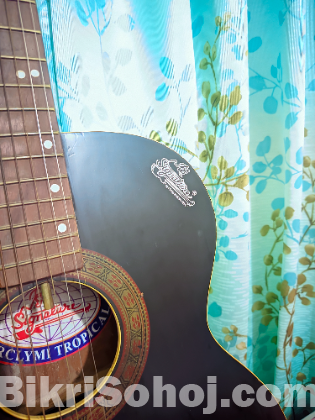 গিটার বিক্রি হবে!